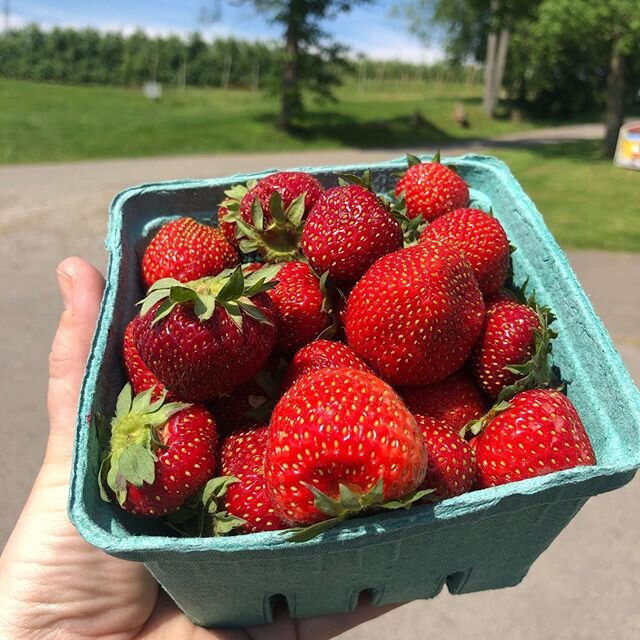 The crush of berry season is here! 🍓 Every year we are lucky to get fresh berries our partners @triple_b_farms. They come like a freight train, one after the next because nature is relentless! These lovelies are getting prepped to become Garden Stra
