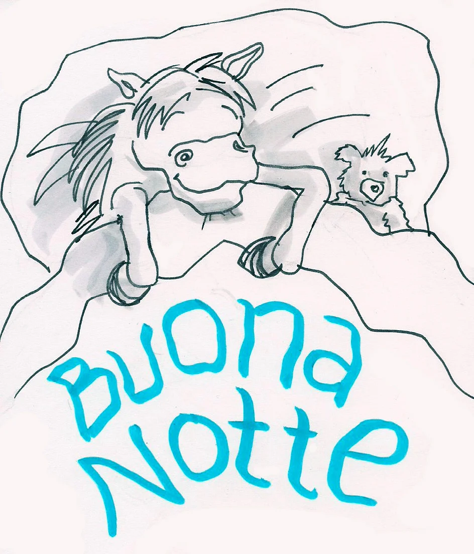 buonanotte.jpg