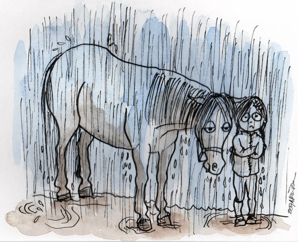 Soggy Pony