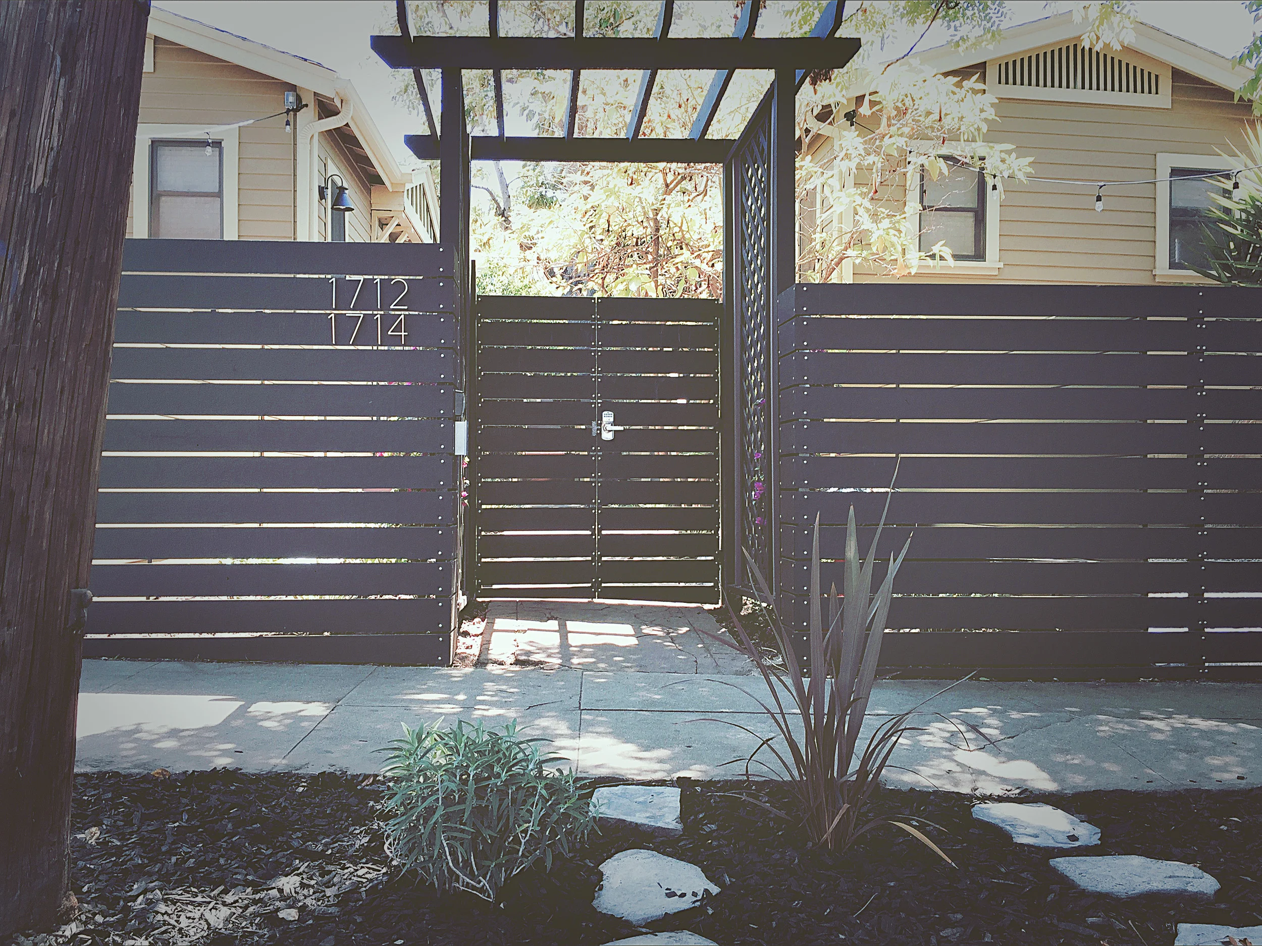 outside with plants.jpg