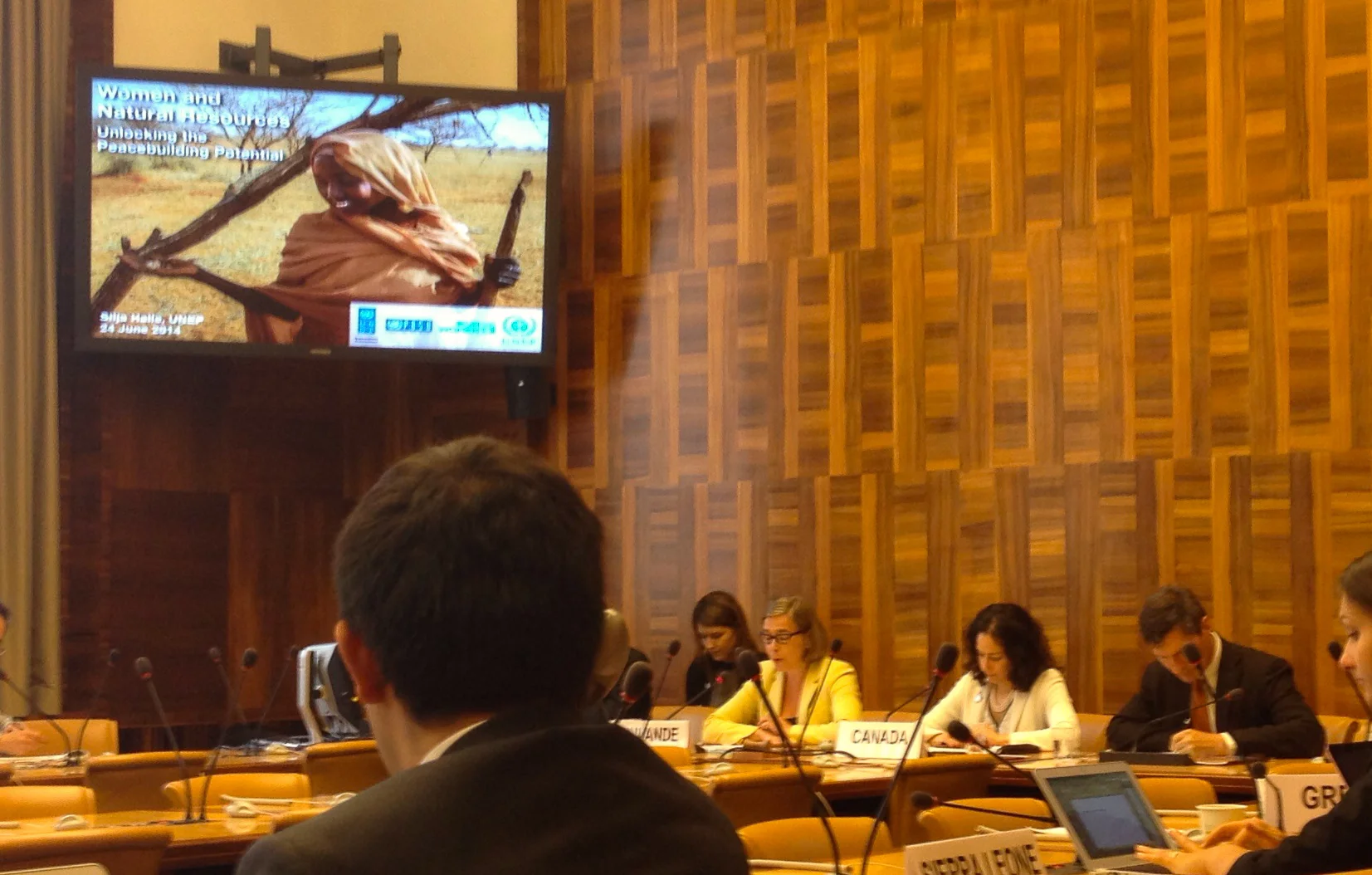 United Nations and the Human Rights Agenda