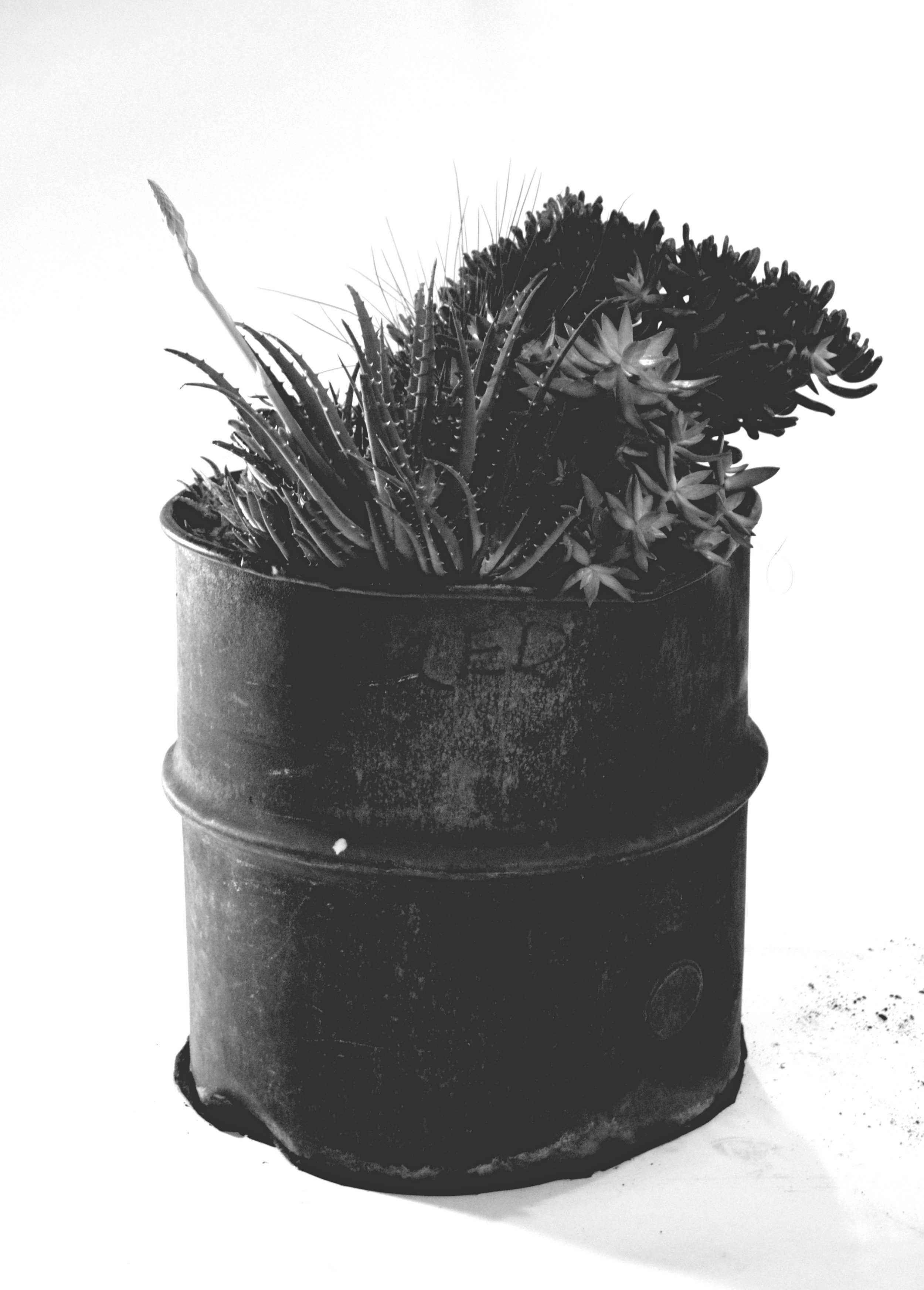 LL Website burn barrel .jpg