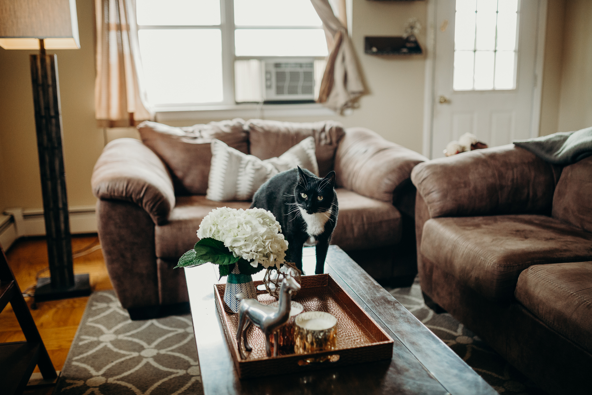 sarah_chris_engagementsession_lifestyle_newjerseyphotographer_montclair-3.jpg