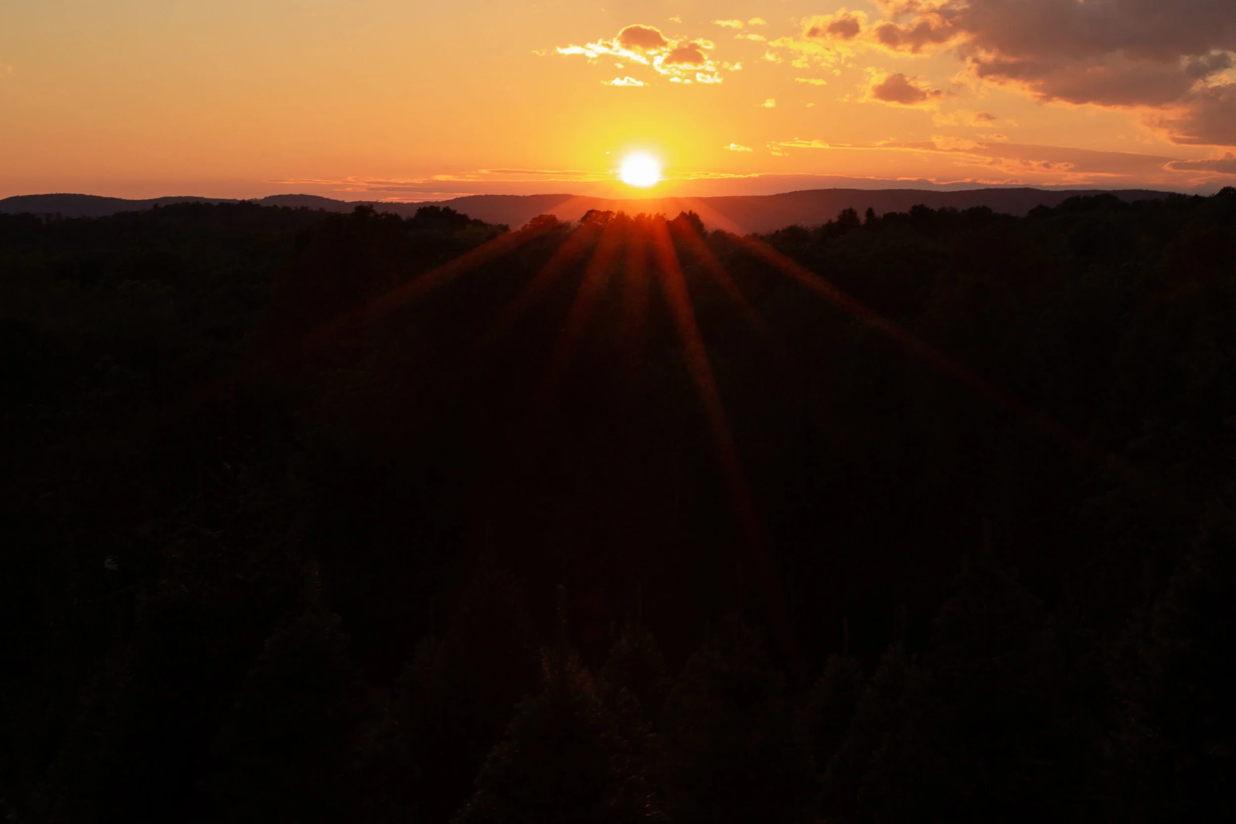 young-love-media-rustic-fall-autumn-wedding-emmerich-tree-farm-hudson-valley-warwick-new-york-first-look-352.jpg