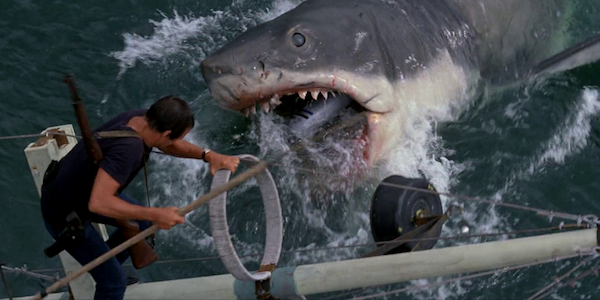 Roy Scheider and Bruce the shark in Steven Spielberg’s Jaws