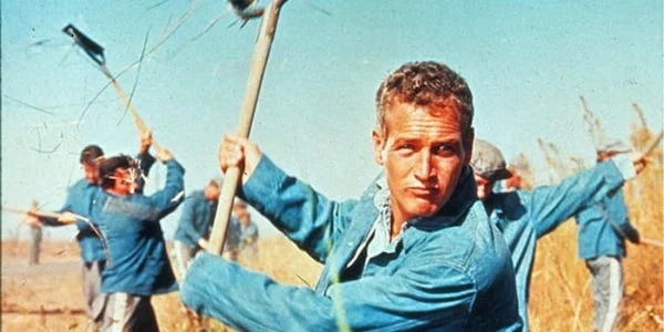 Paul Newman in Stuart Rosenberg’s Cool Hand Luke
