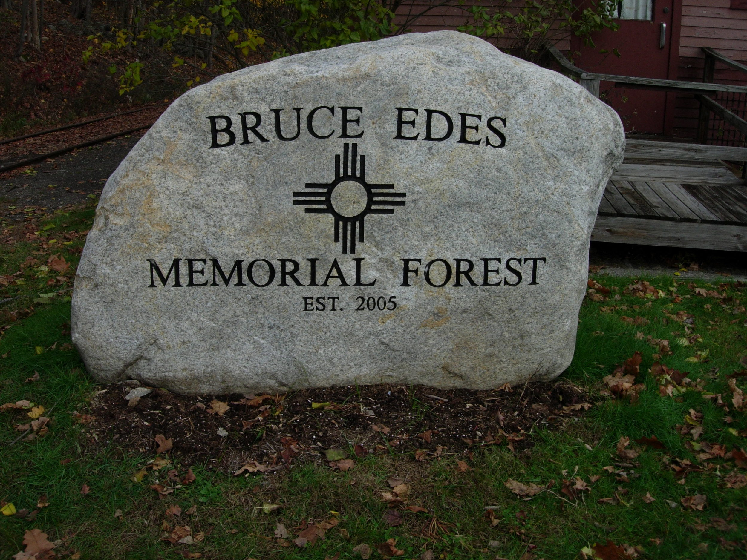 Bruce-Edes-Mem.-Forest-close.jpg