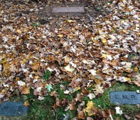Babneau-Plot-e1357920673303.jpg