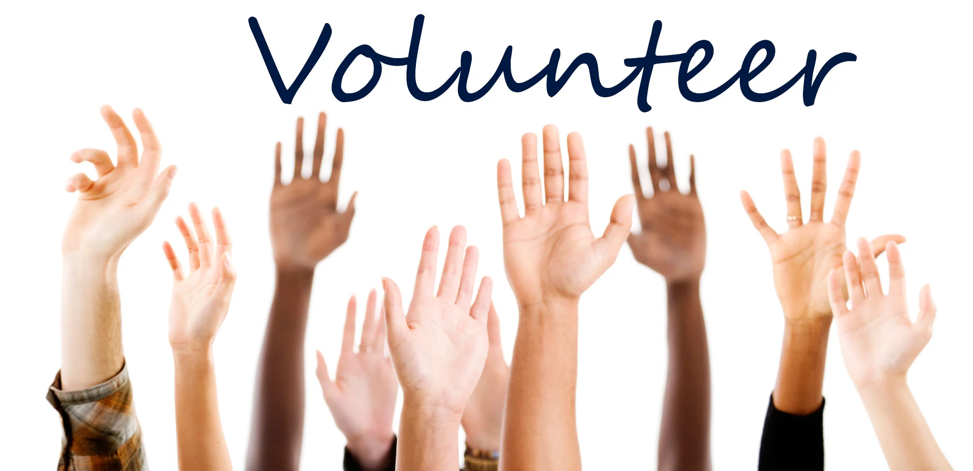 volunteer.jpg