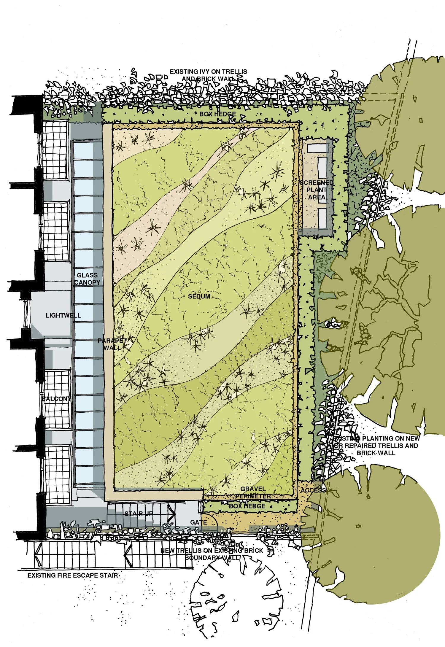 111109 garden plan.JPG