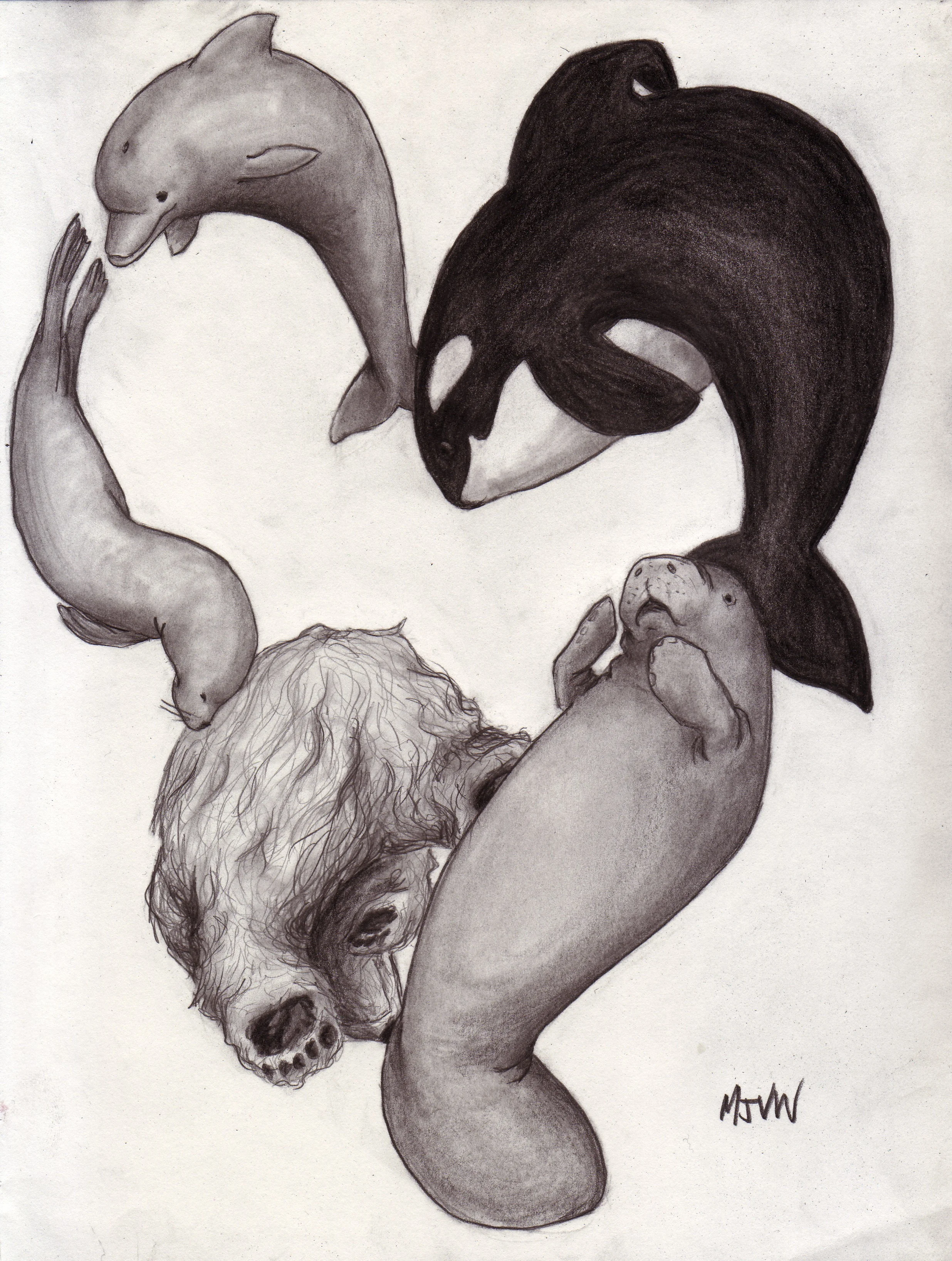 I Heart Sea Mammals