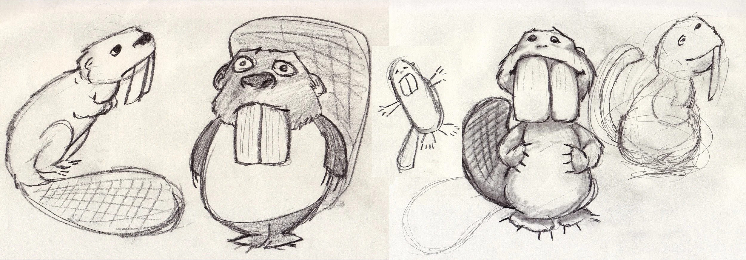 Beavers