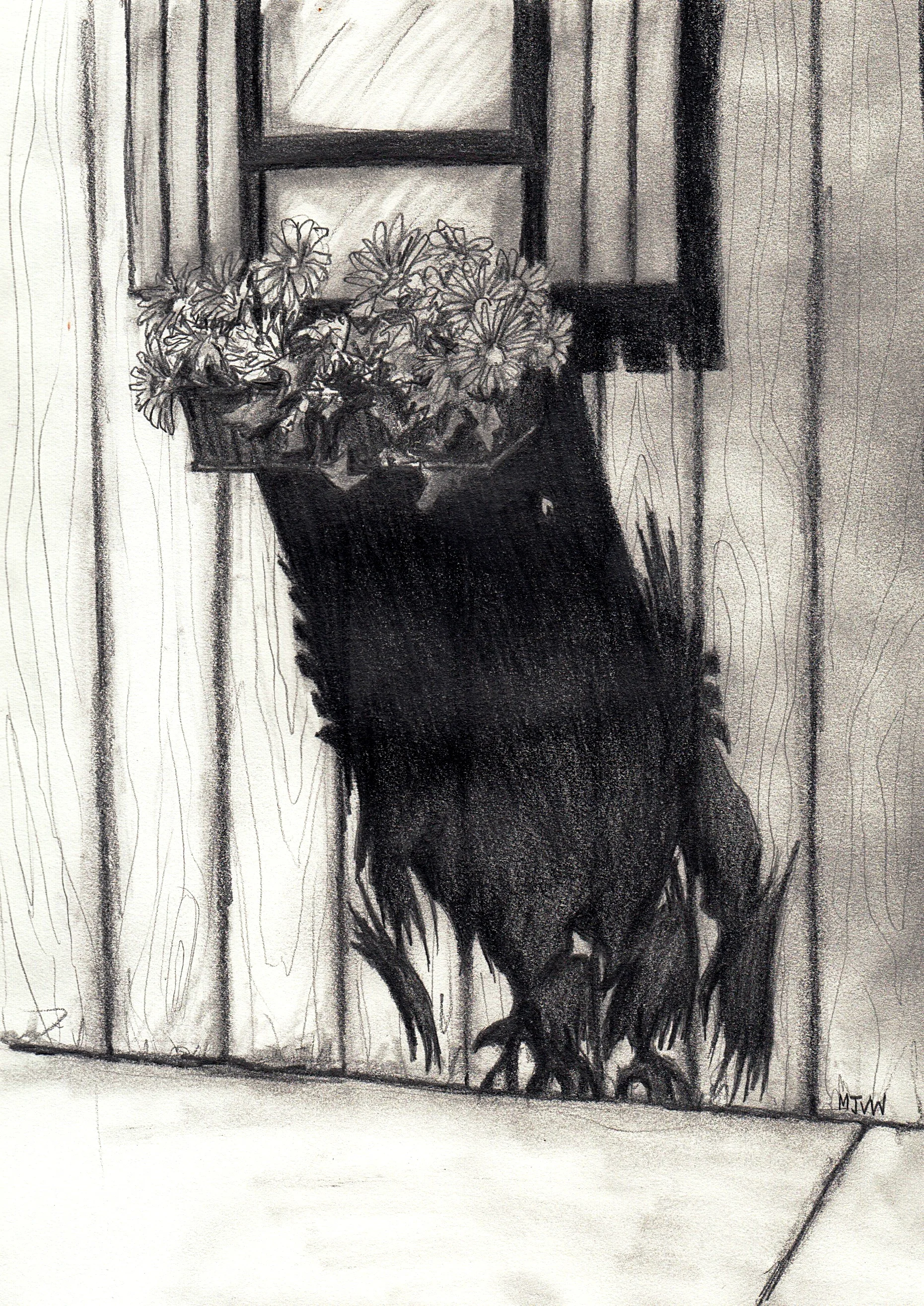 One-Eyed Shadow Monster