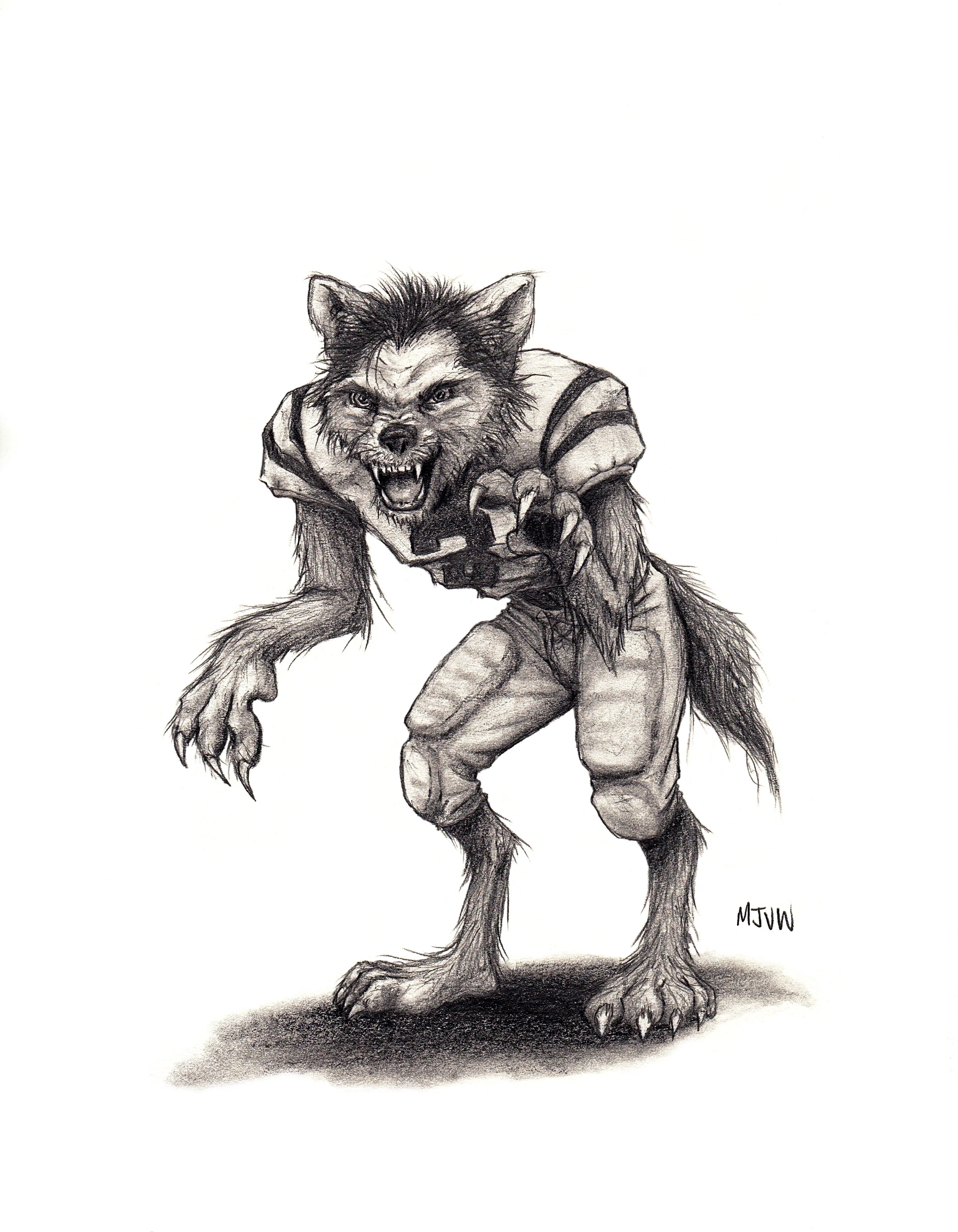 THE UNDERDOGS - Jackson Jackal