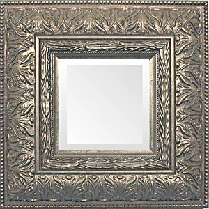 Silver Ornate Large Traditional  Mirrors.jpg