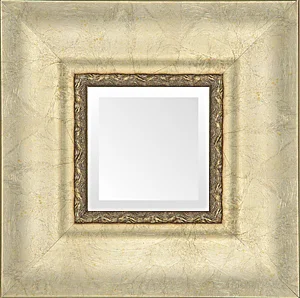 Large Soft Silver Transitional Mirror.jpg