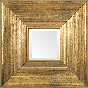 Elegant Gold Traditional Mirror.jpg