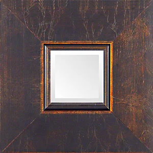 Wide Bronze Transitional Mirror.jpg