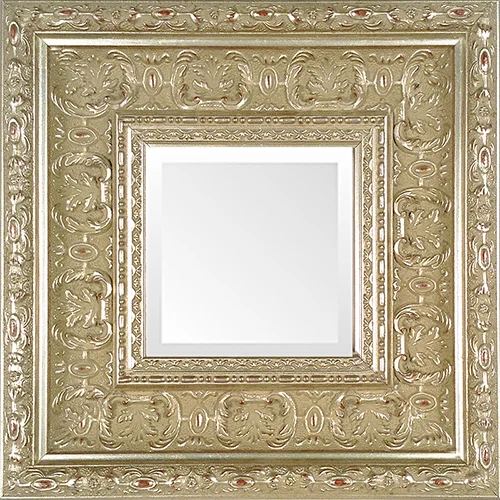 Silver Leaf Ornate Museum Frame Mirrors-.jpg