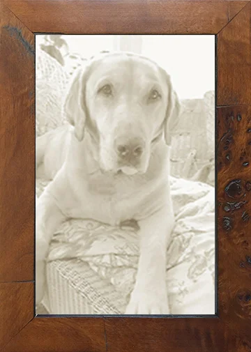 Tizo Design Italian White Burl Wood Frae 5x7 | Shopbop