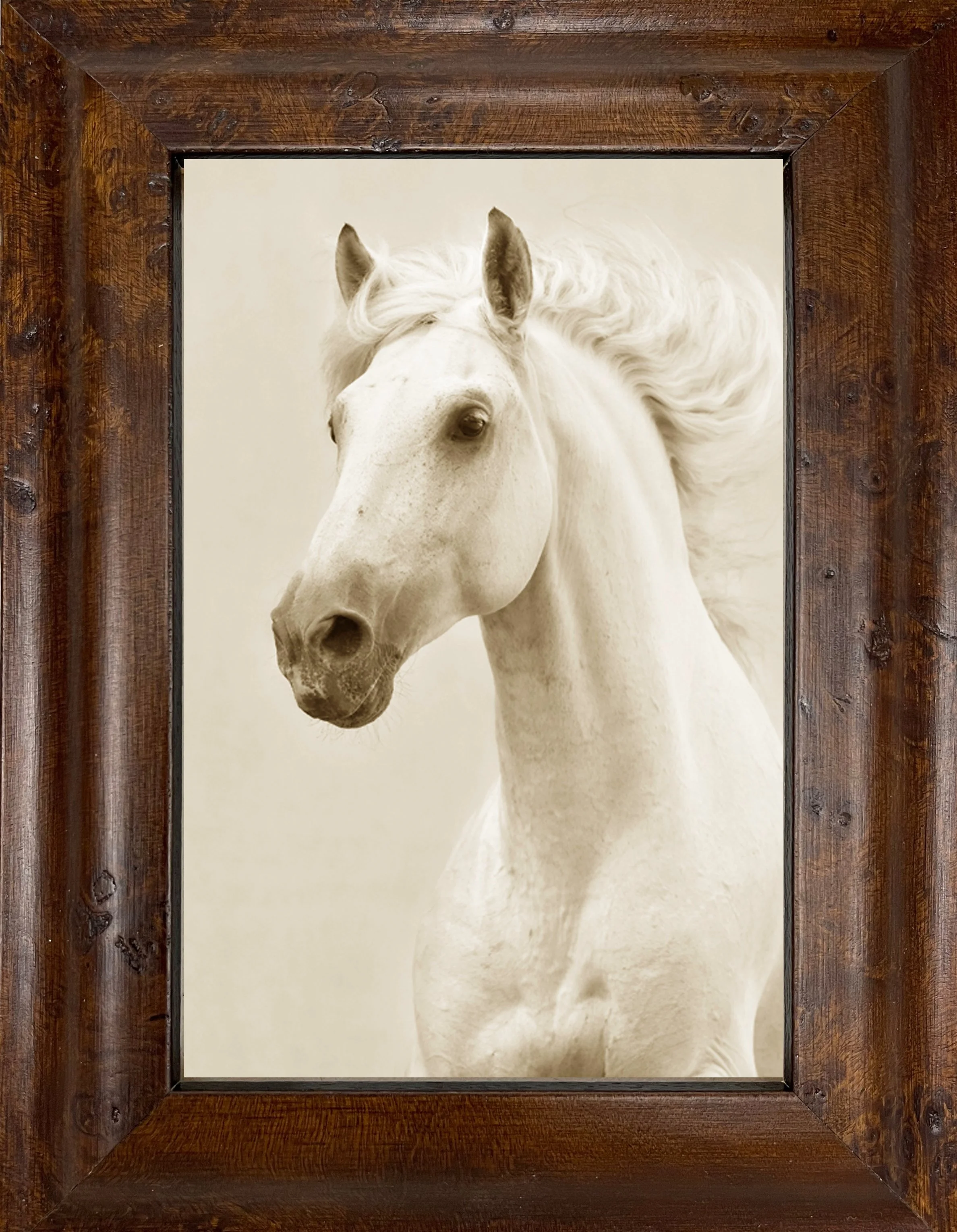 Traditional Walnut Burl Picture Frame — wood burl picture frames