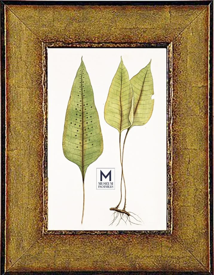 Italian-Gold-Transitional-Picture-Frame-made-in-usa-museum-facsimiles.jpeg