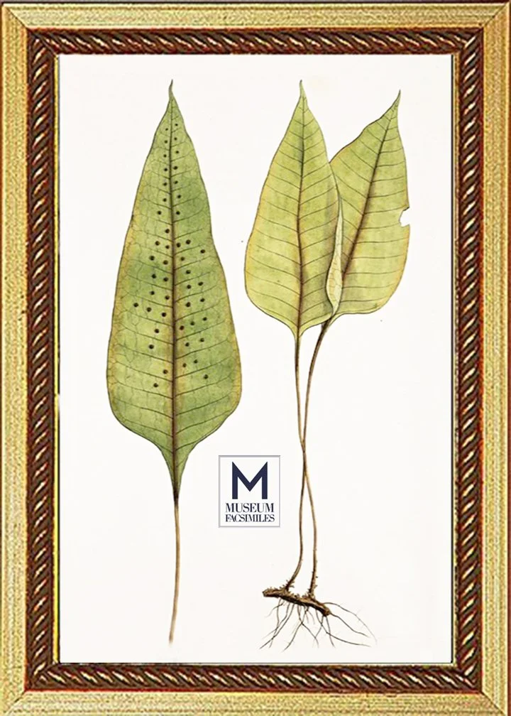 narrow-gold-rope-ornate-picture-frame-made-in-usa-museum-facsimiles.jpeg