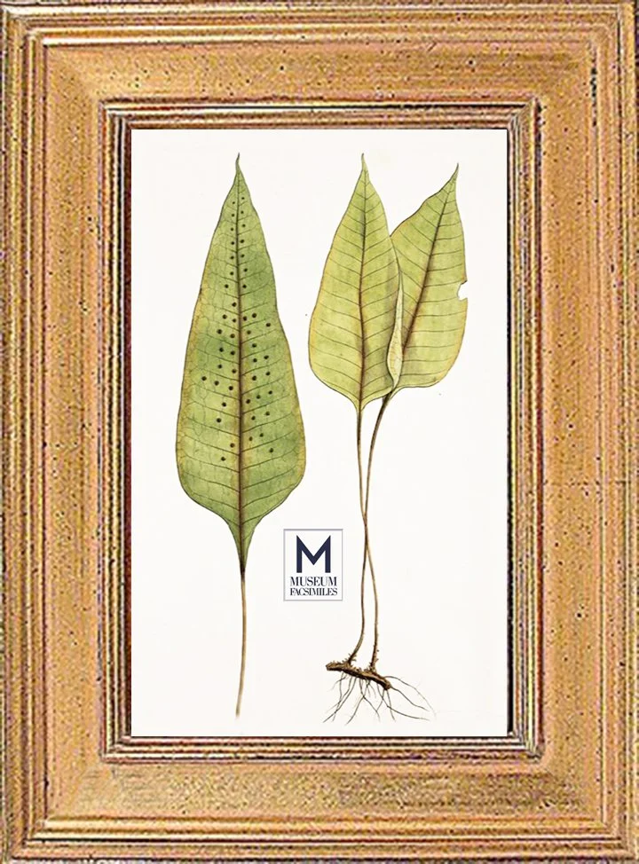 classic-gold-leaf-panel-picture-frame-made-in-usa-museum-facsimiles.jpeg