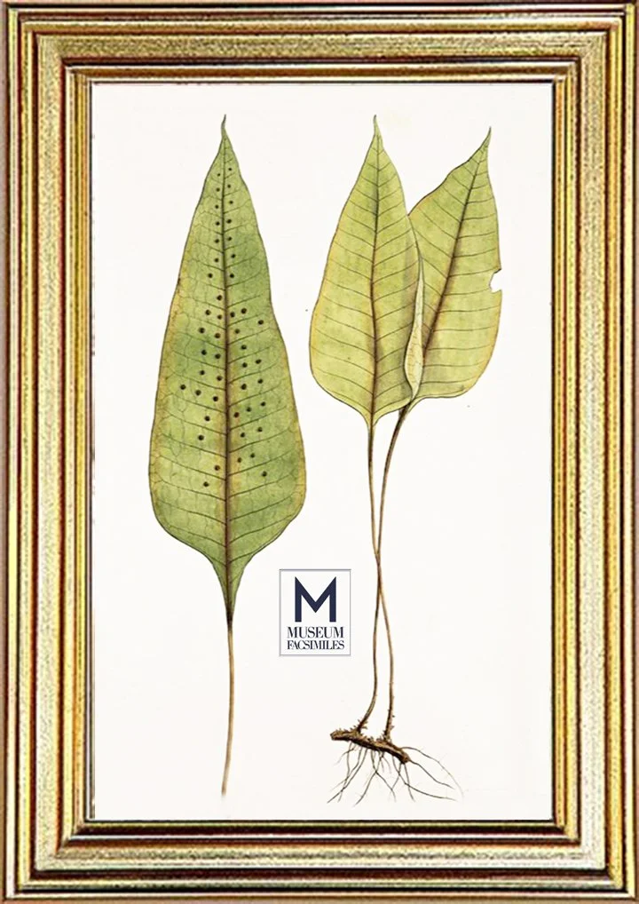 thin-gold-panel-traditional-picture-frame-made-in-usa-museum-facsimiles.jpeg
