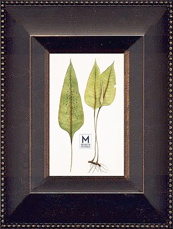 Bronze-Contemporary-Picture-Frame-made-in-usa-museum-facsimiles.jpeg