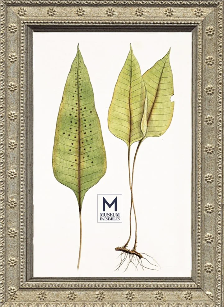 thin-silver-florette-ornate-picture-frame-museum-facsimiles