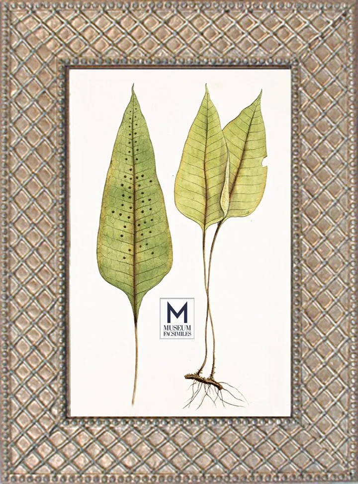 silver-cross-hatch-ornate-picture-frame-museum-facsimiles