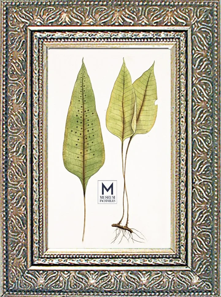 silver-ornate-Picture-Frame-museum-facsimiles