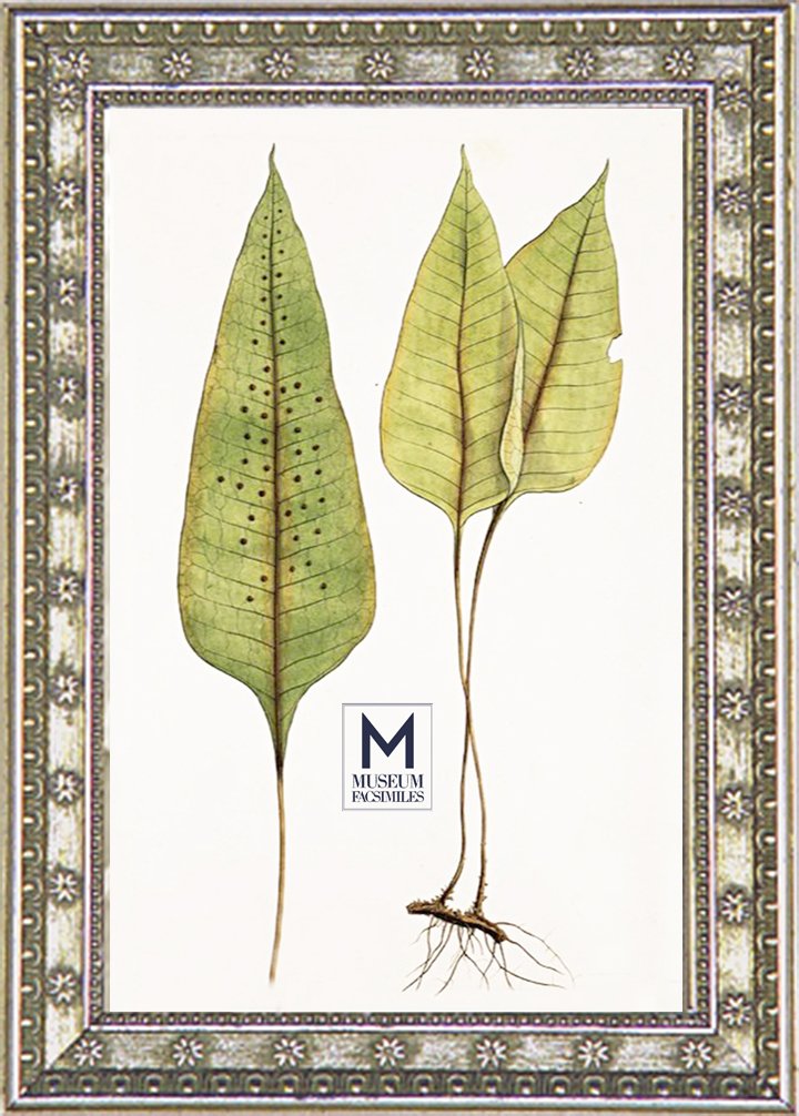 narrow-silver-flowers-ornate-picture-frames