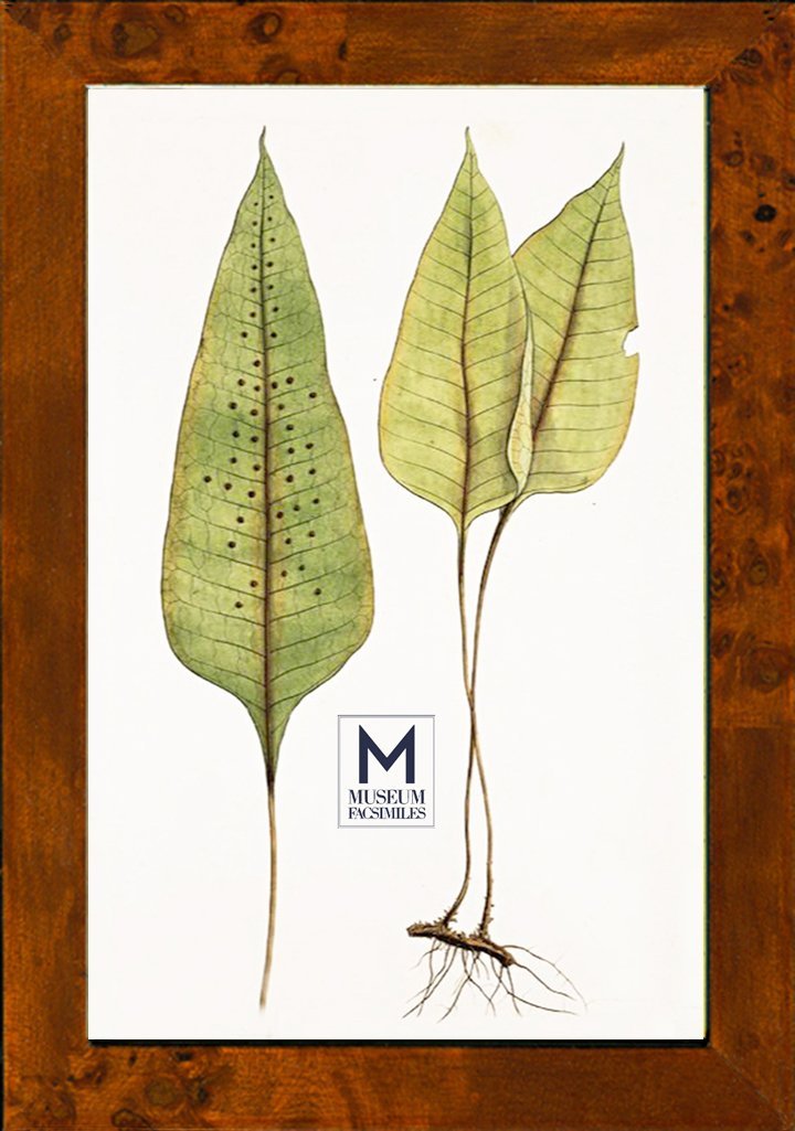 wood-picture-frames-museum-facsimiles-made-in-usa.jpeg