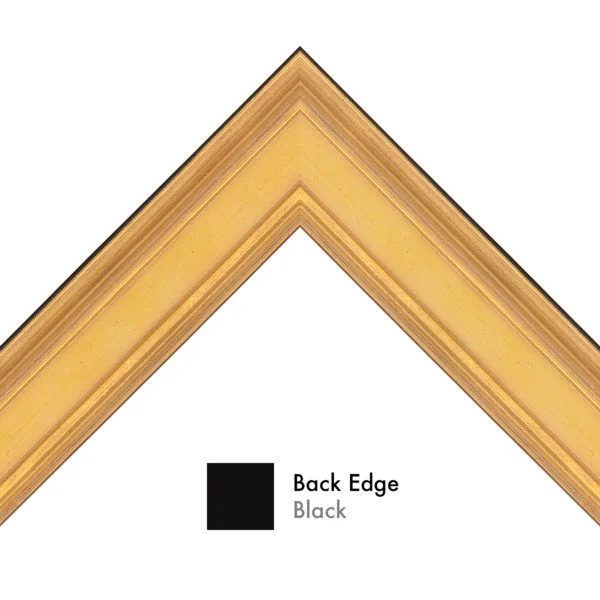 gold-panel-wood-picture-frame-museum-facsimiles.jpg