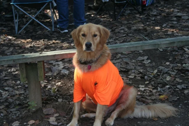 Chief....Camp Mascot.