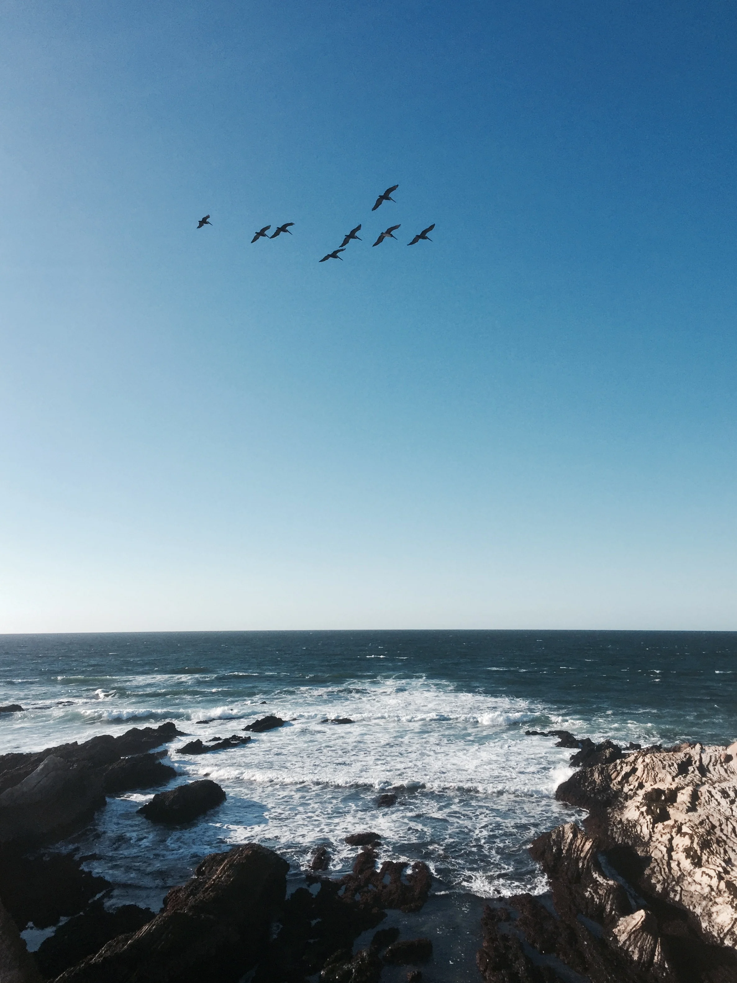 FullSizeRender 46.jpg