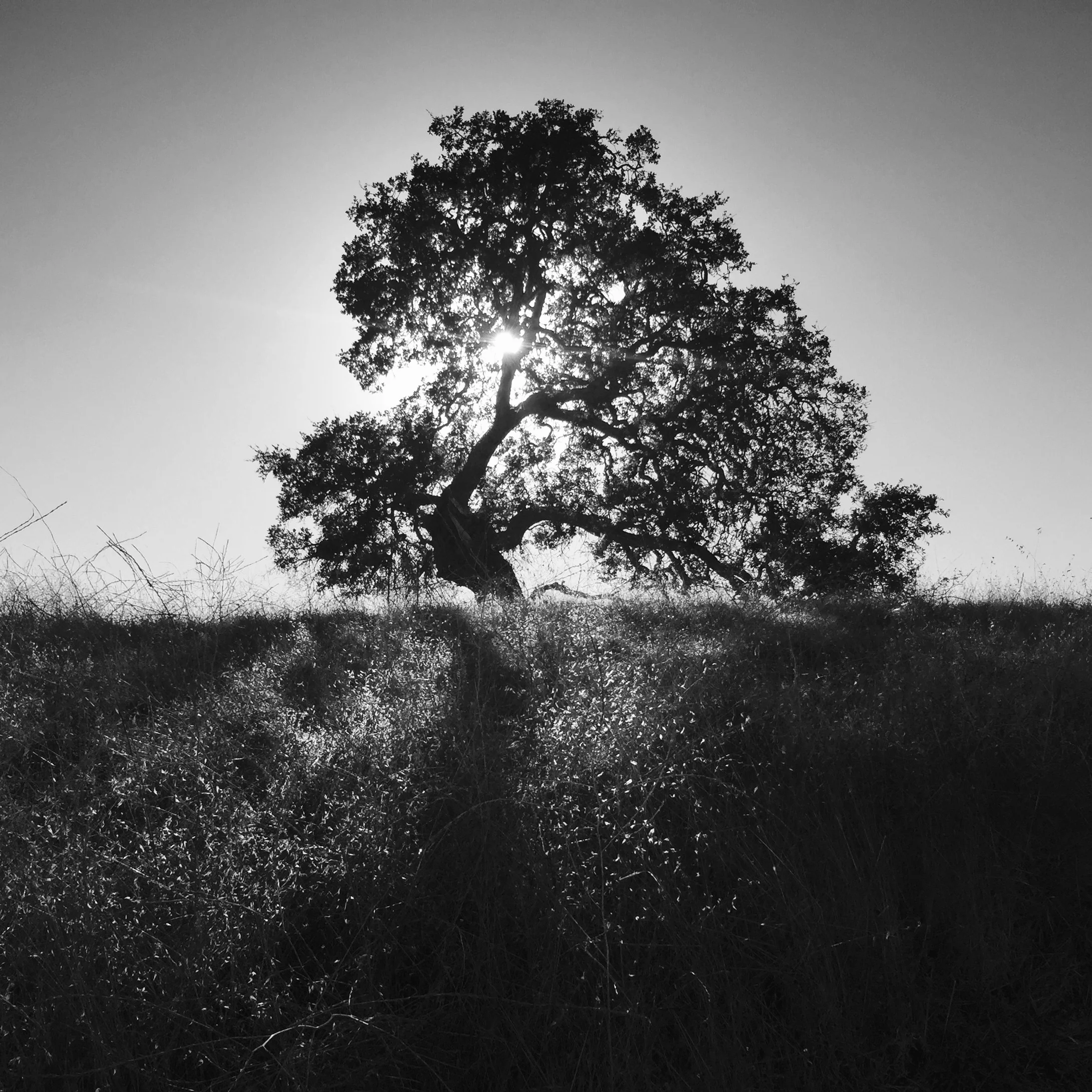 FullSizeRender 48.jpg