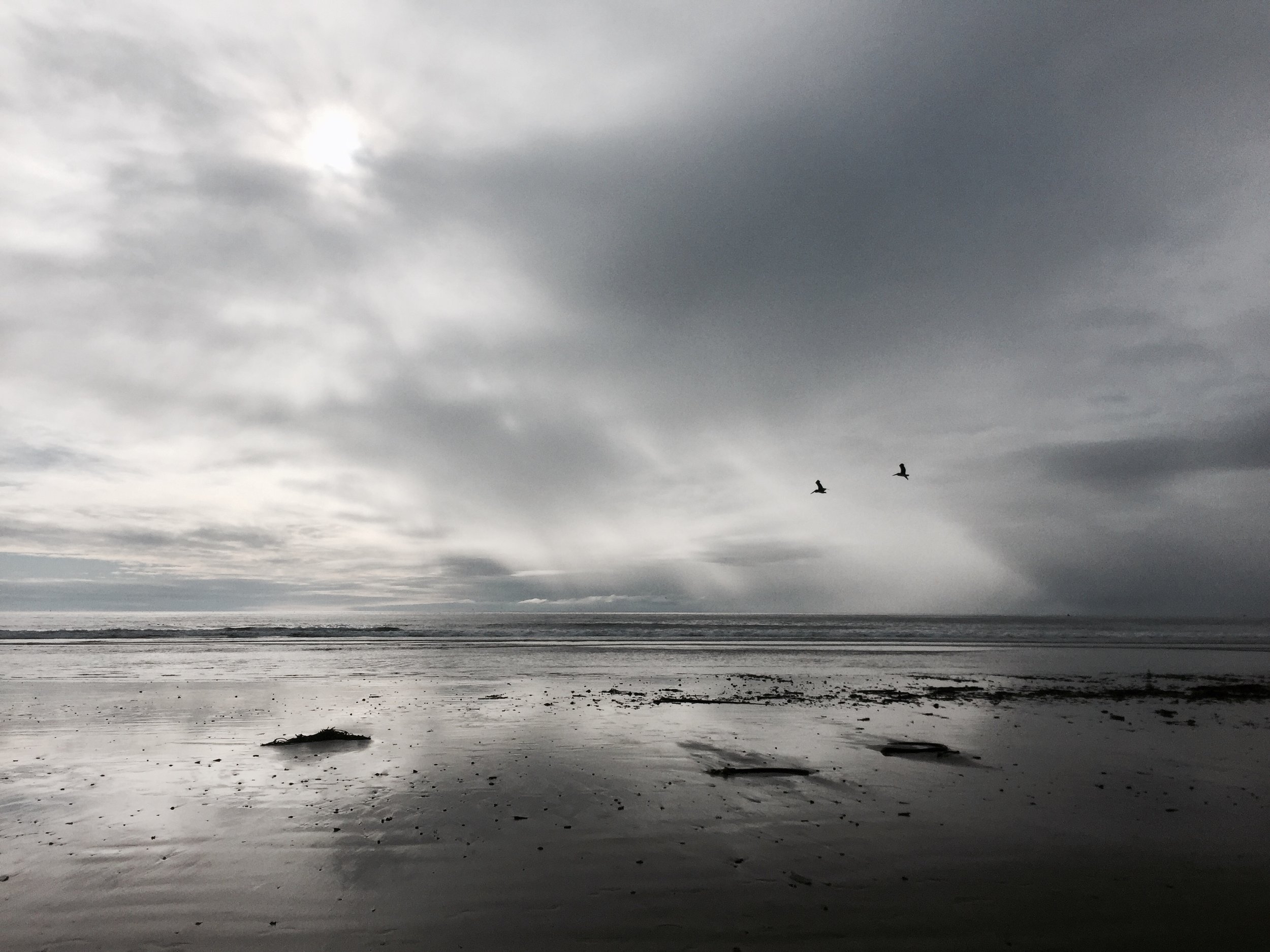 FullSizeRender 49.jpg