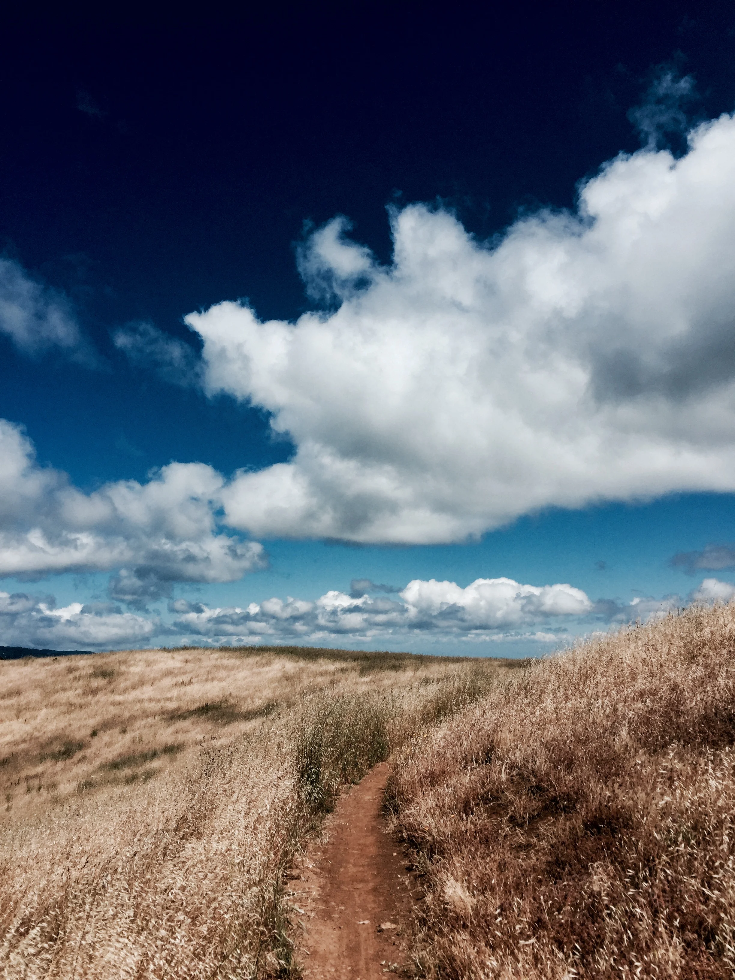 FullSizeRender 43.jpg