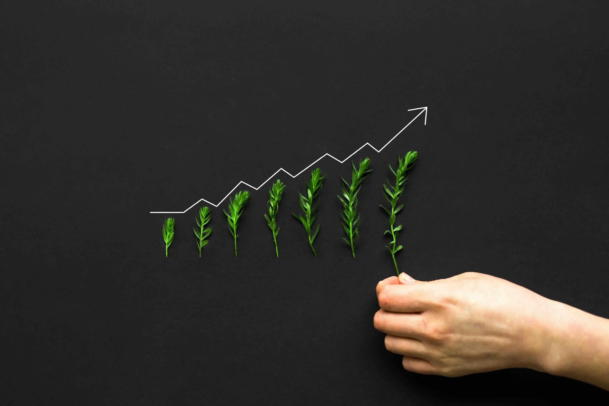Image of growing trend line