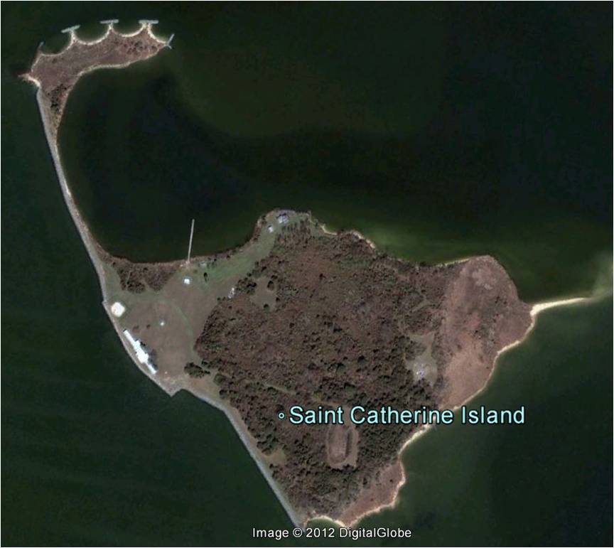 Saint Catherines Island