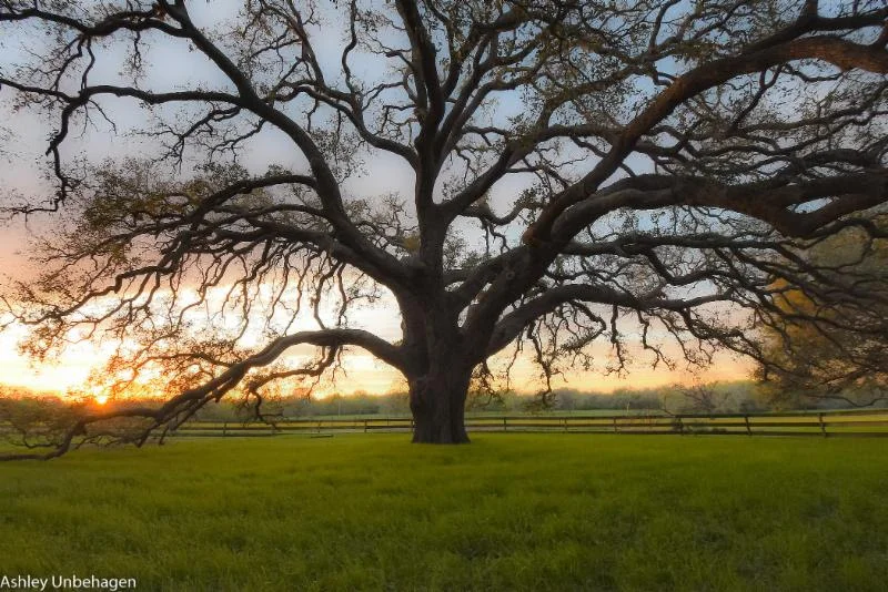 Slow down and give your soul the stillness it needs. Paula D'Arcy