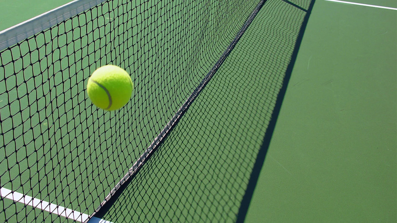 tennis-ball-and-net.jpg