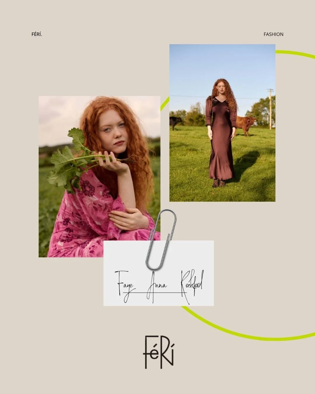 https://www.feri.ie/