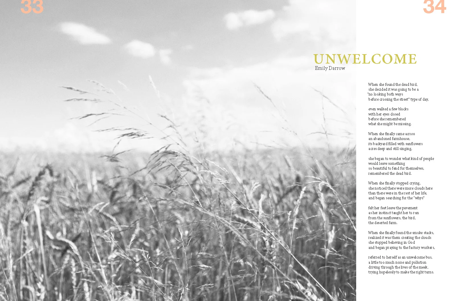 MiddleWestern Voice Spread 20.jpg
