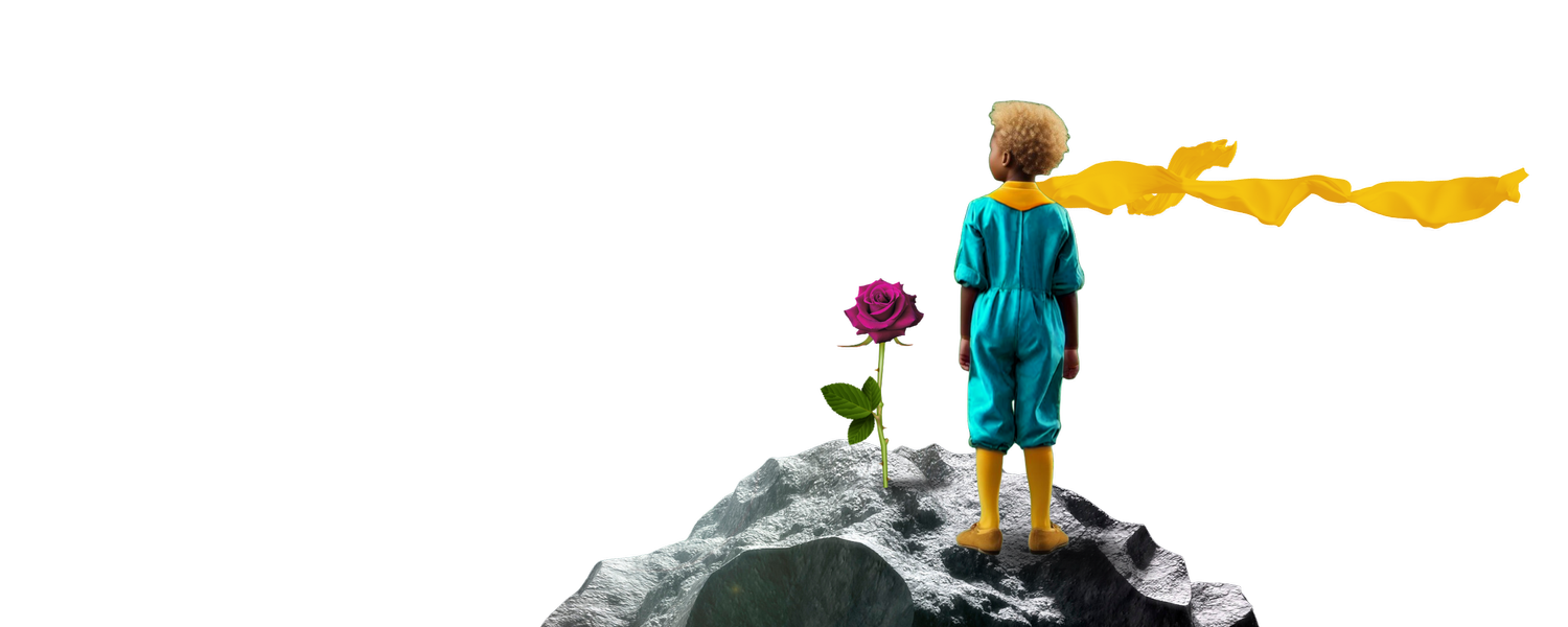 The Little Prince 