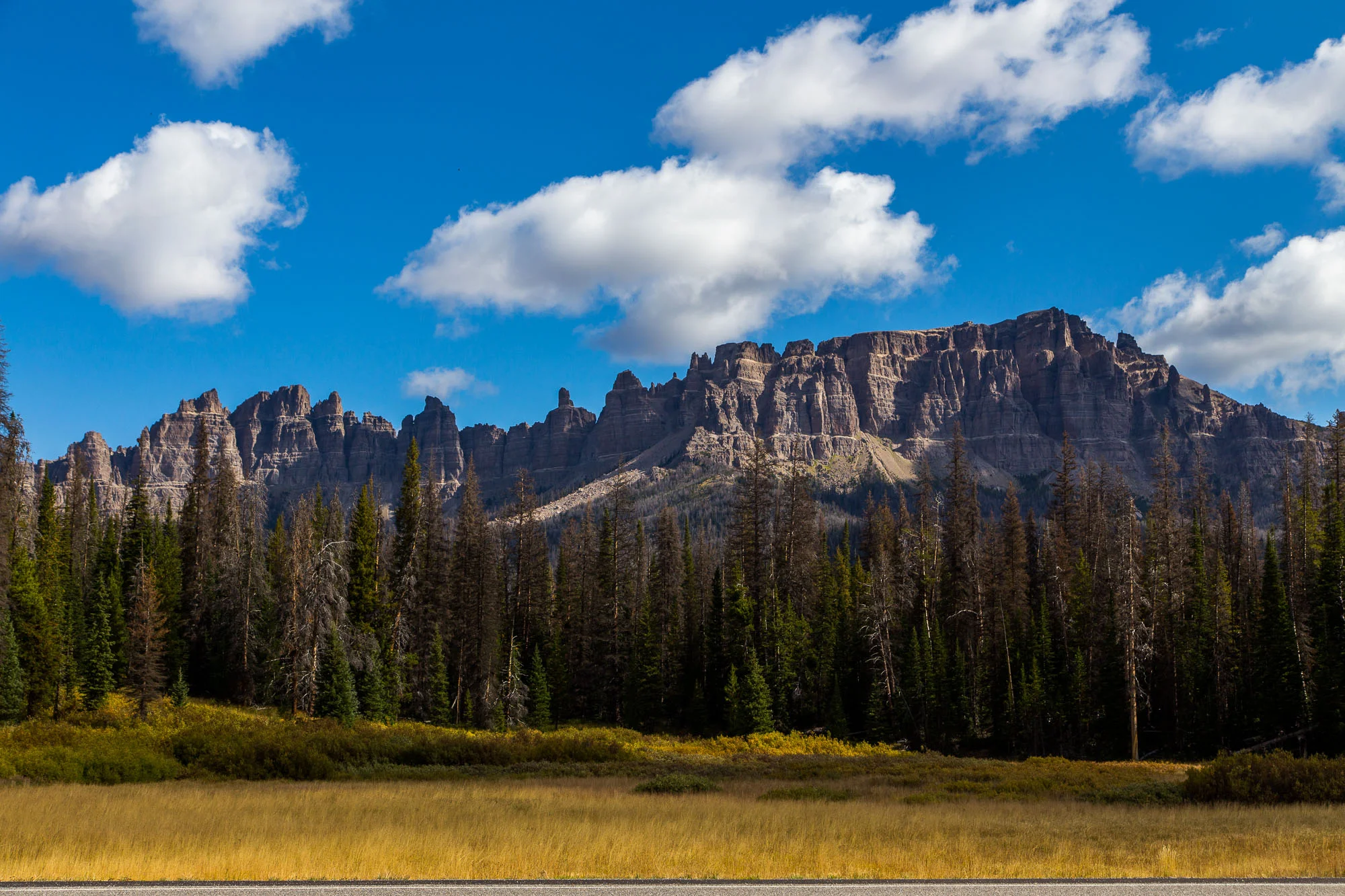 Roadside Wyoming