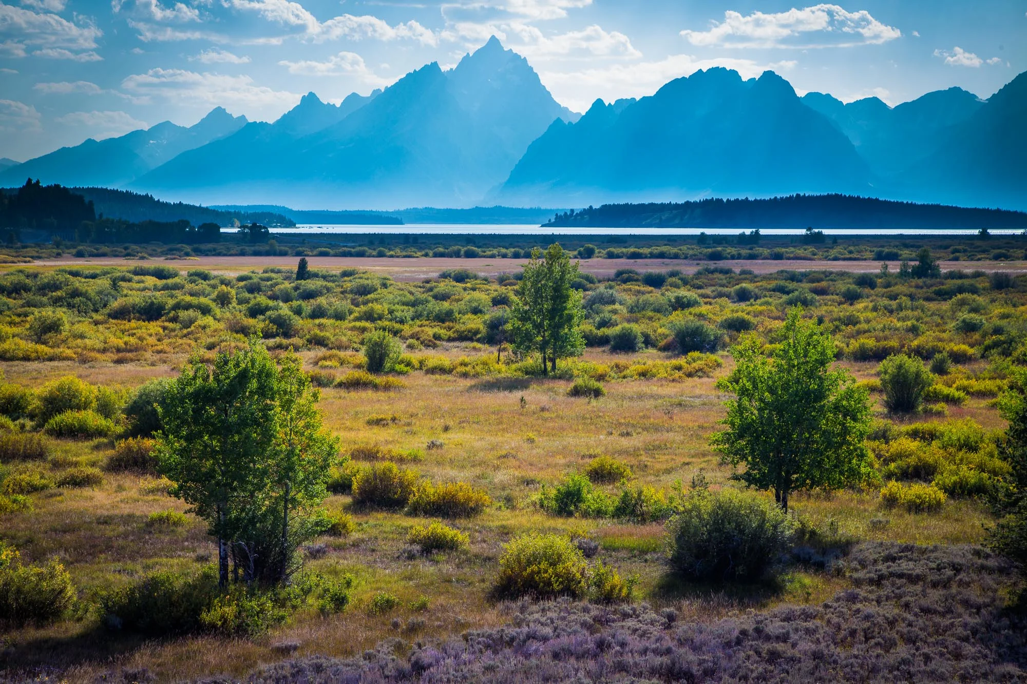 Grand Tetons 2